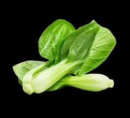 Chinese cabbage