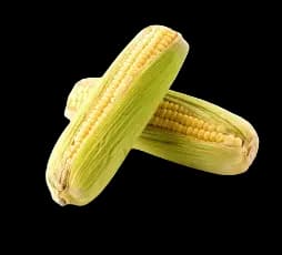 Corn