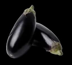 Eggplant